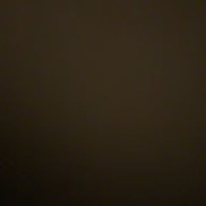 Meet your Posher, Lucy